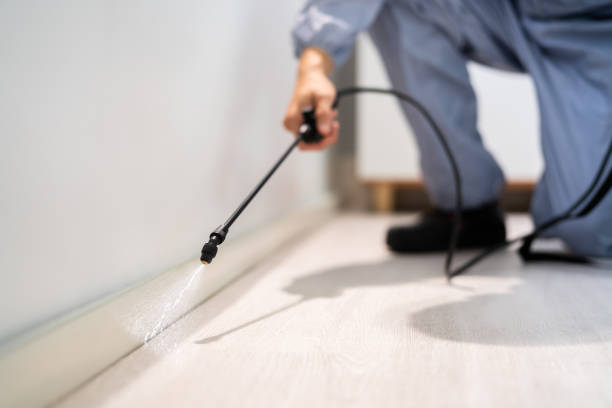 Bed Bug Pre-Treatment Preparation Assessment in Hendersonville