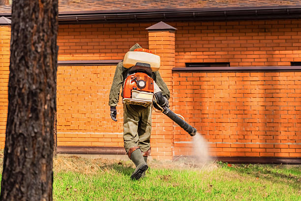 Bed Bug Clearance Verification and Documentation in Hendersonville